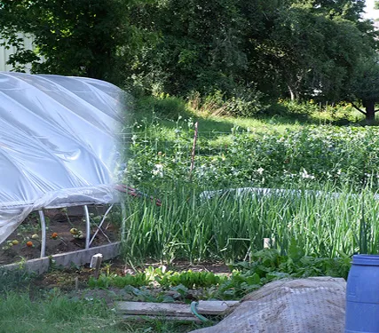 Agricultural Uses Of Tarpaulin